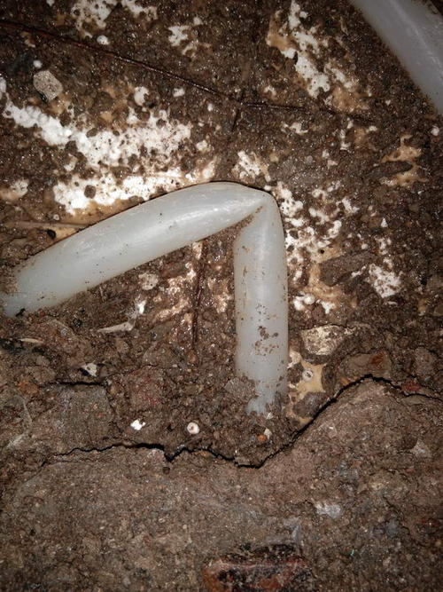 越西堵点精准查找